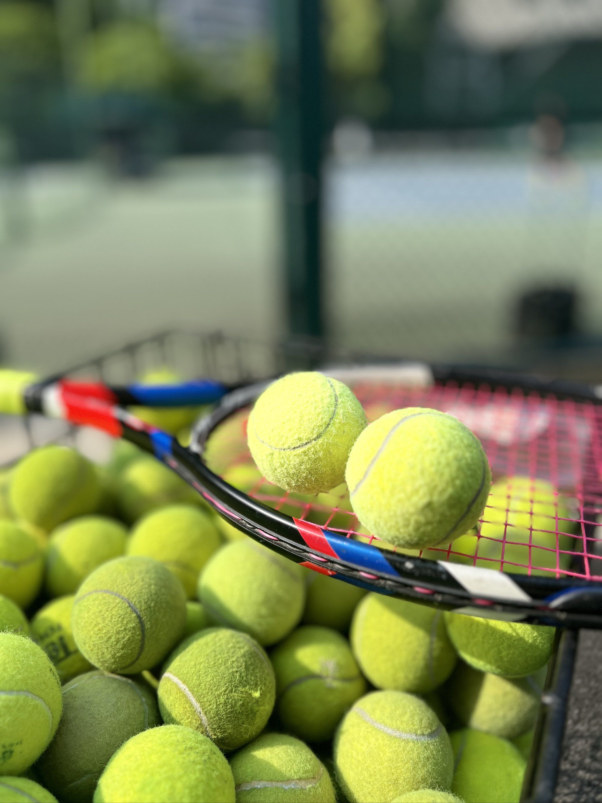 一家体育用 一家体育用